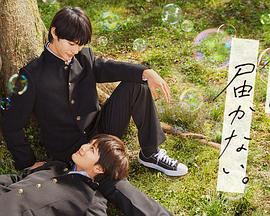 九家之书集海报剧照